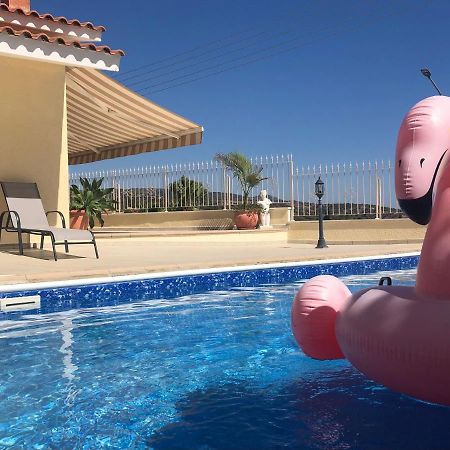 Peyia Palm Villa Пафос Екстер'єр фото