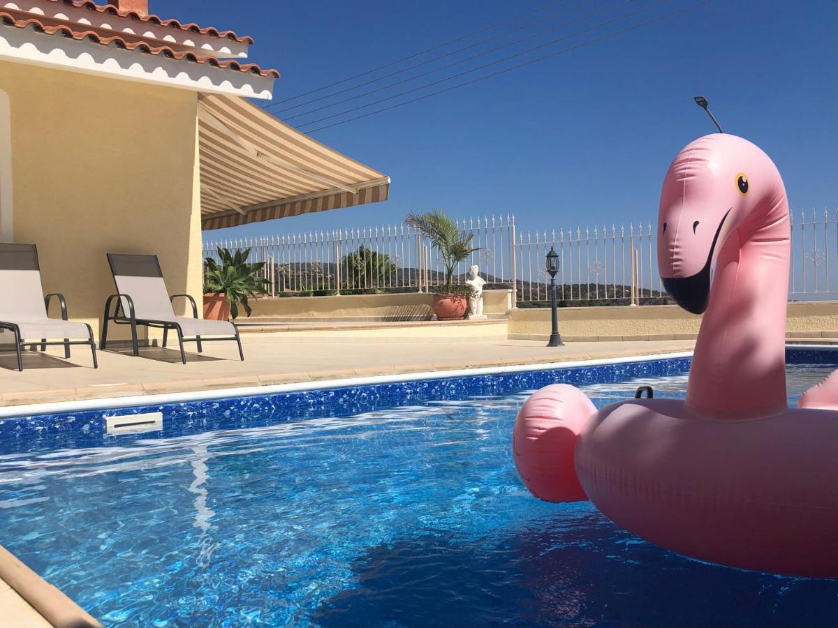 Peyia Palm Villa Пафос Екстер'єр фото